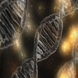 Human Genome Project: How this most-hyped breakthrough could directly, indirectly affect lives