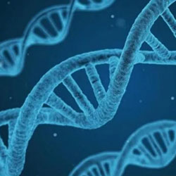 Researchers At Stanford Develop Engineered 'mini' CRISPR Genome Editing System