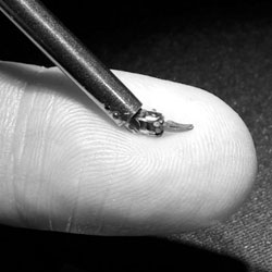 Big hopes for microsurgical Robots