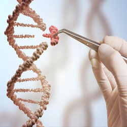 7 gene editing stocks promising to change our DNA