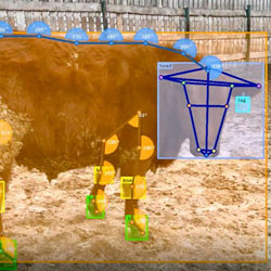 Biometrics and artificial intelligence may be coming to a ranch near you