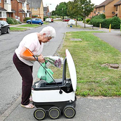 Delivery robots take the strain out of shopping in UK town