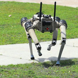 Ghost robotics now makes a lethal robot dog