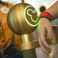 Disneyland imports Magic Band wearable tech from Disney World