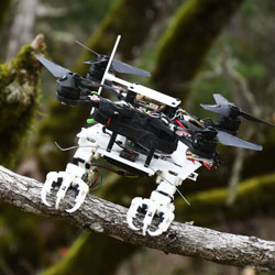 This Drone Uses Piercing Talons to Perch—or Snatch Things