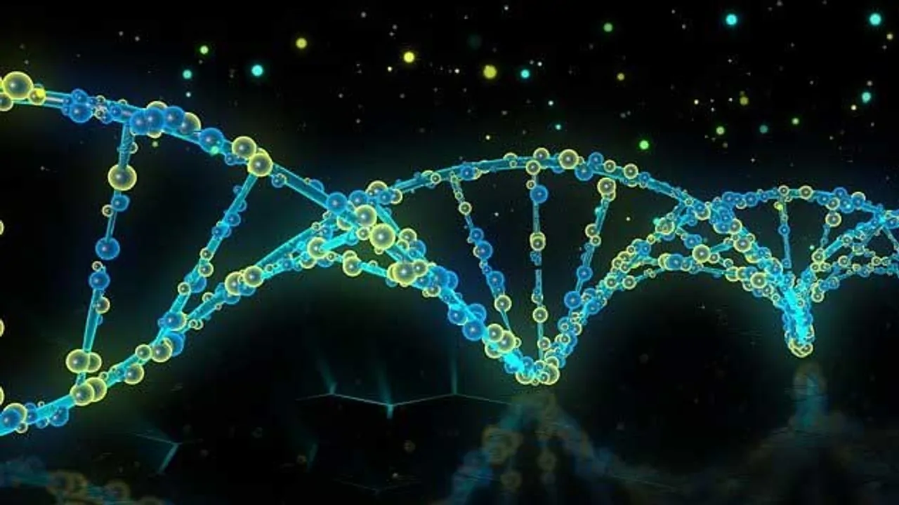 CRISPR Imaging Reveals Genes Behind Tumor Immunity