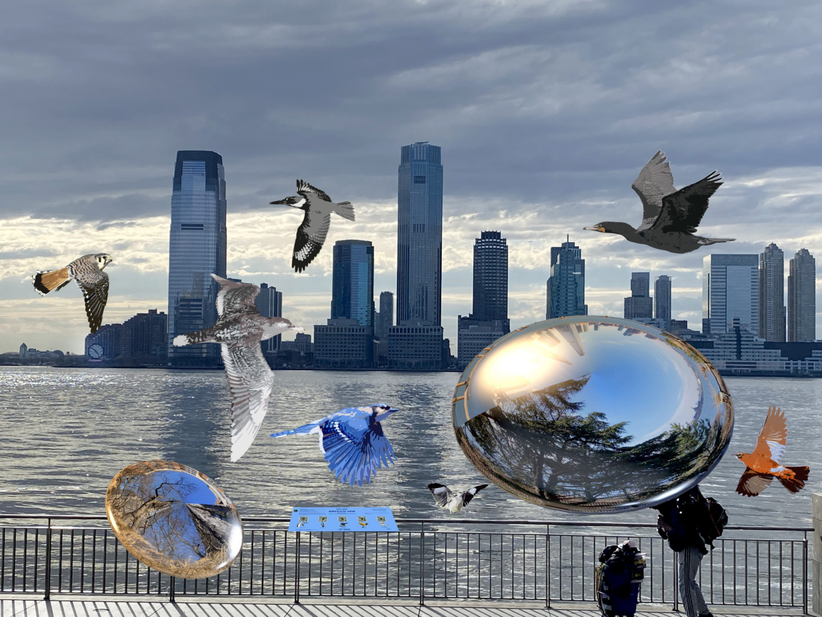 Shuli Sadé Uses Augmented Reality to Reveal the Birds of Battery Park City’s Waterfront