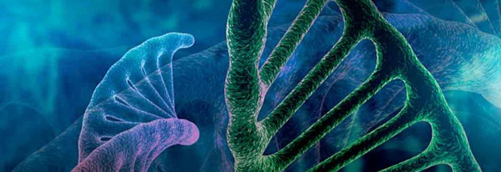 Scientists Discover Genetic Cause of Lupus, a Chronic Autoimmune Disease