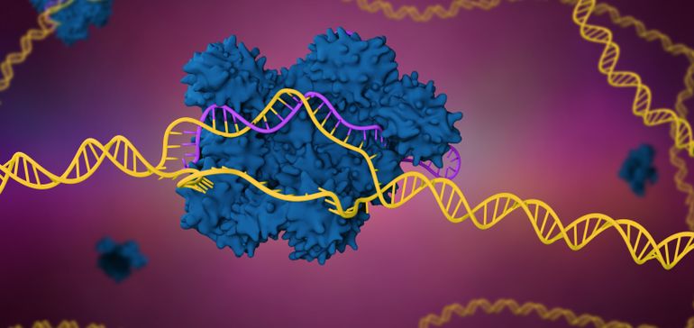 Vertex, CRISPR strengthen case for pioneering gene-editing treatment