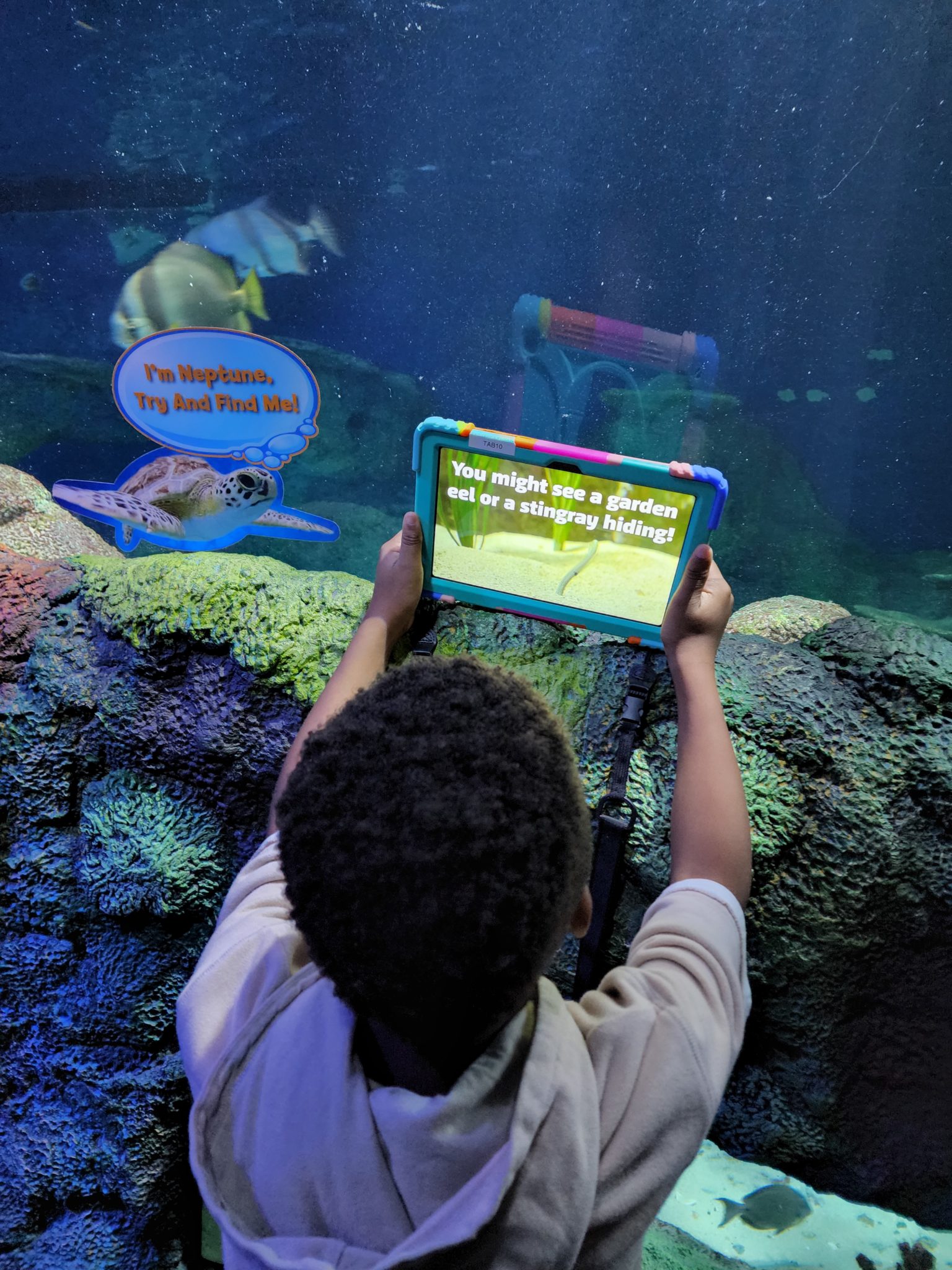 SEA LIFE Charlotte-Concord Partners with ARtGlass to Offer World’s First Aquarium Tour in Wearable Augmented Reality